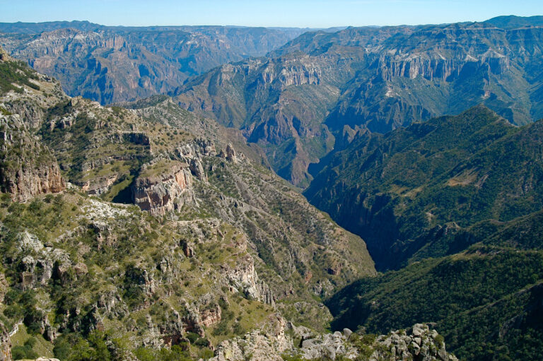Davisidero